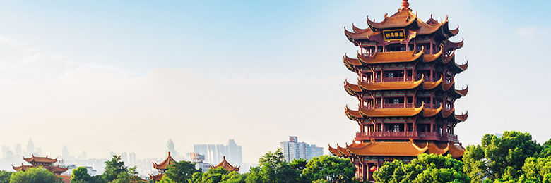 Wuhan Conference Academic Tourism: Yellow Crane Tower