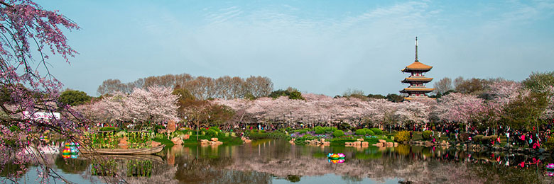 武汉会议学术参观：东湖磨山景区