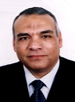会议主讲人：Dr. Hossny El Banna,  Professor